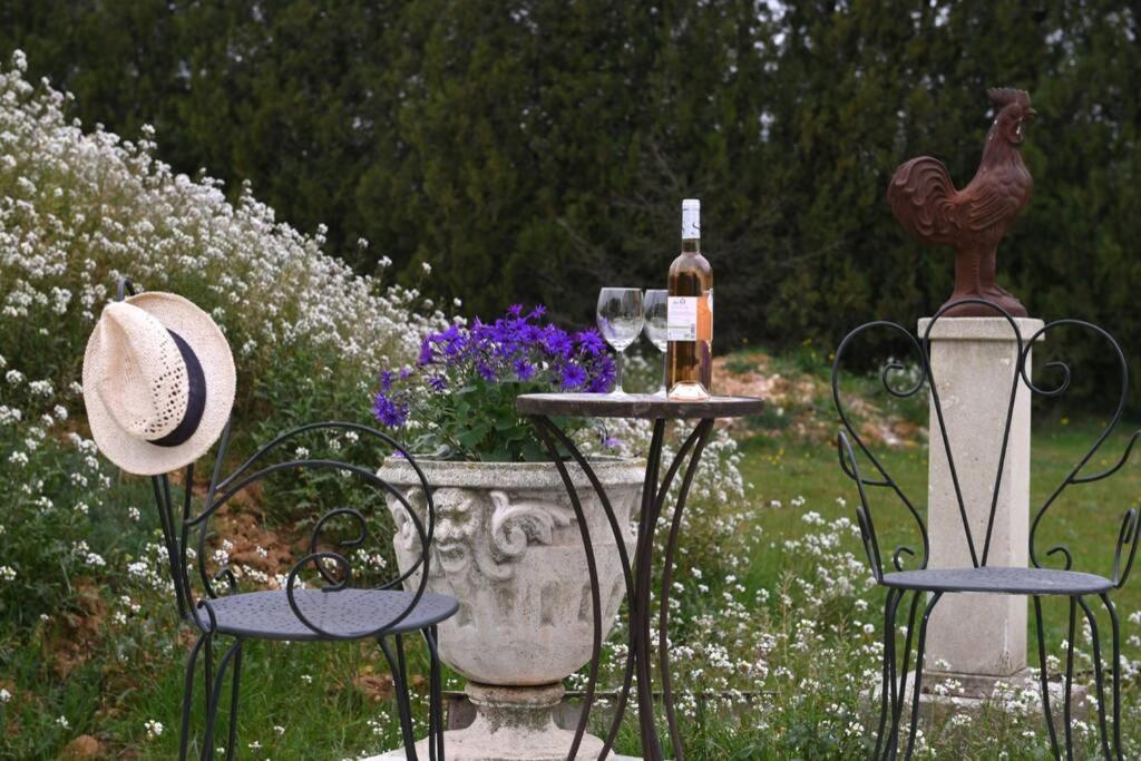 Le Galinie Chic'art. Un Bel Atelier Avec Piscine * Carpentras